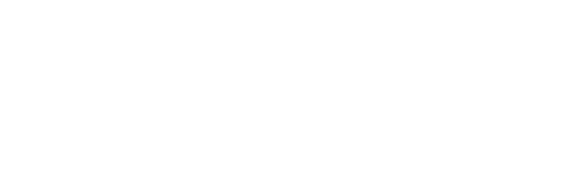 CONNPLEX logo